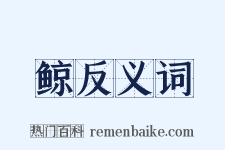 鲸反义词是什么意思的图片